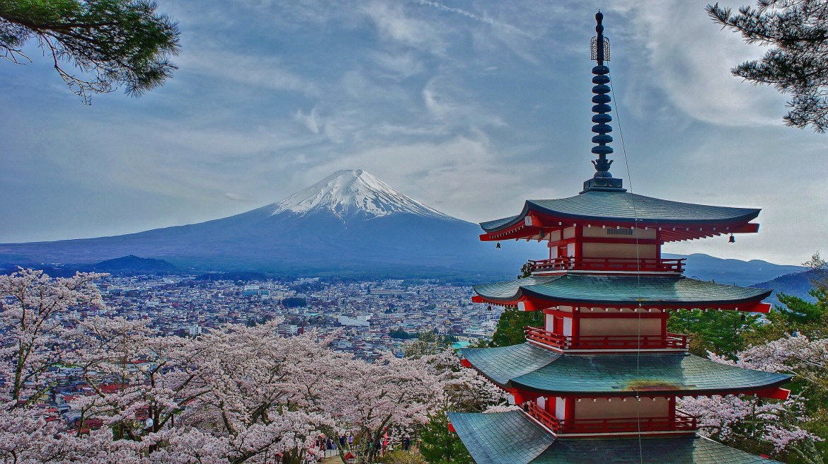 Templu japonez cu sakura